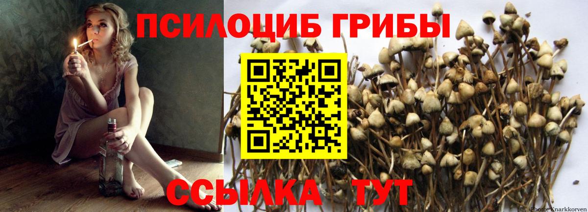 Галлюциногенные грибы прущие грибы  Вход с VPN  Биробиджан 